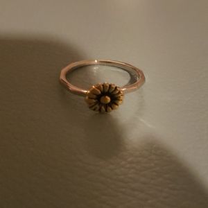 Brandy Melville Necklace and Ring Set